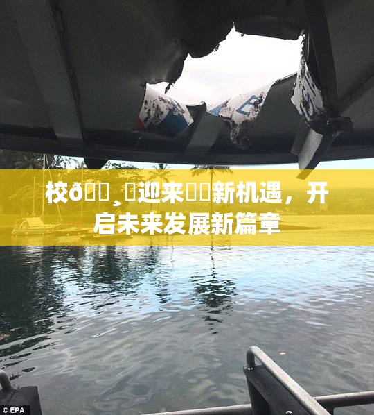 校🌸‌迎来❌‌新机遇，开启未来发展新篇章