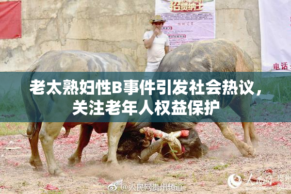 老太熟妇性B事件引发社会热议，关注老年人权益保护