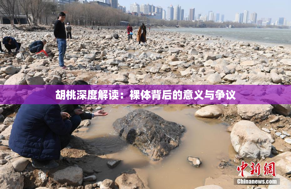 胡桃深度解读：裸体背后的意义与争议