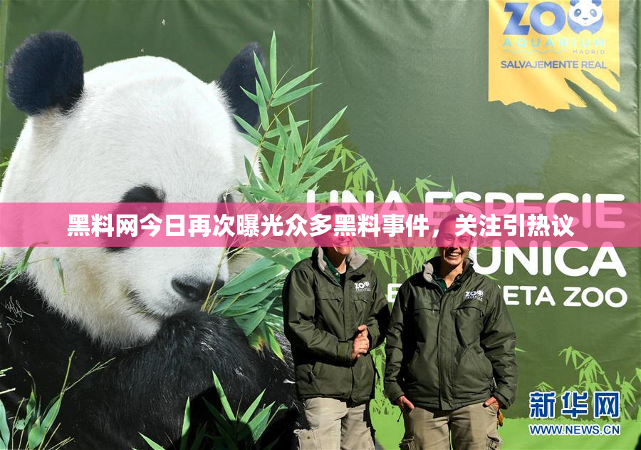 黑料网今日再次曝光众多黑料事件，关注引热议
