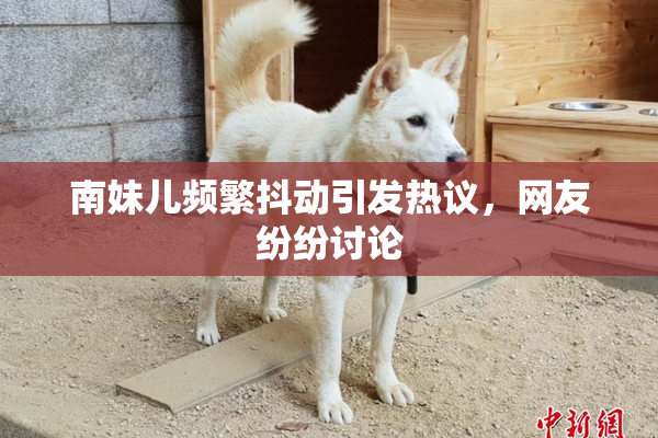 南妹儿频繁抖动引发热议，网友纷纷讨论