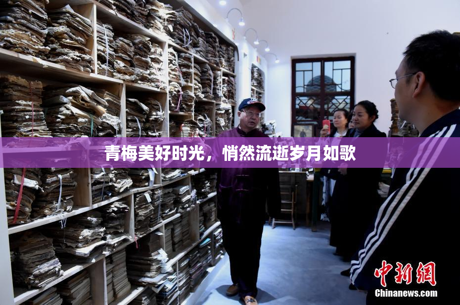 青梅美好时光，悄然流逝岁月如歌