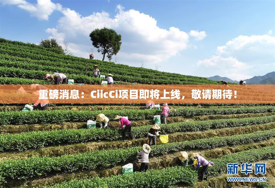 重磅消息：CiicCi项目即将上线，敬请期待！