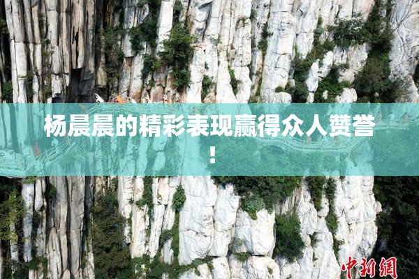 杨晨晨的精彩表现赢得众人赞誉！