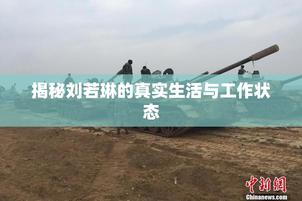 揭秘刘若琳的真实生活与工作状态