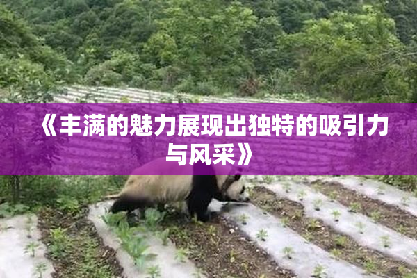 《丰满的魅力展现出独特的吸引力与风采》