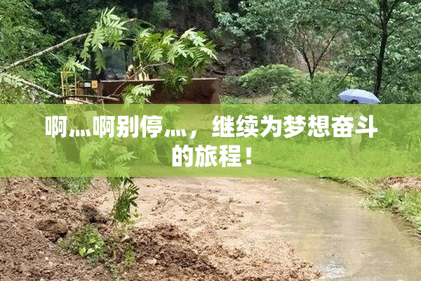 啊灬啊别停灬，继续为梦想奋斗的旅程！