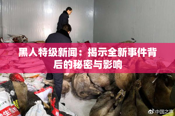 黑人特级新闻：揭示全新事件背后的秘密与影响