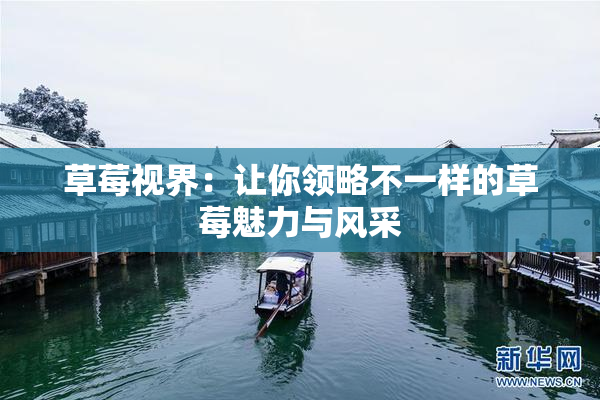 草莓视界：让你领略不一样的草莓魅力与风采