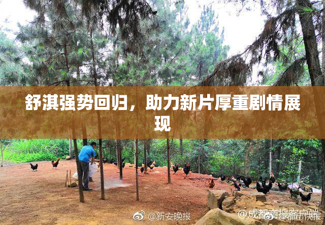 舒淇强势回归，助力新片厚重剧情展现