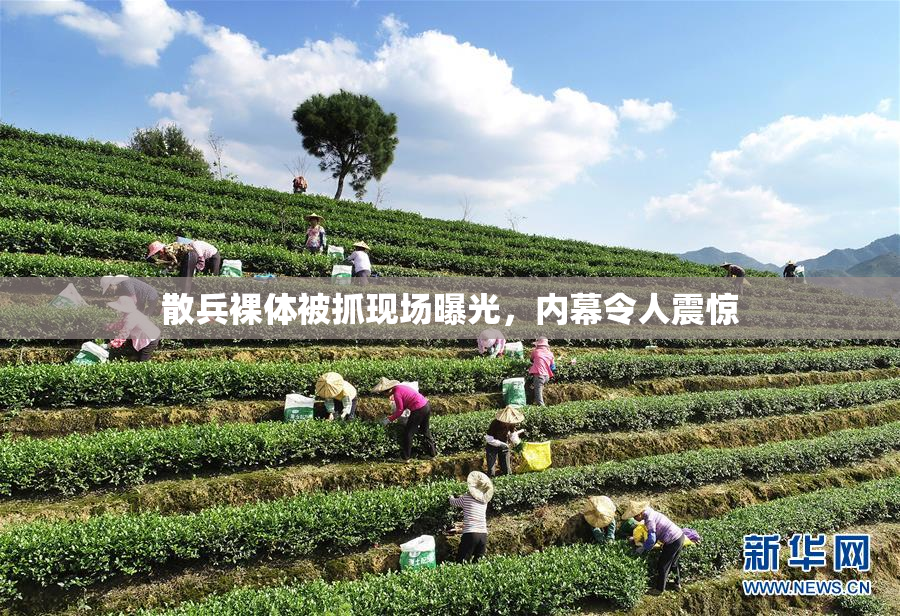 散兵裸体被抓现场曝光，内幕令人震惊