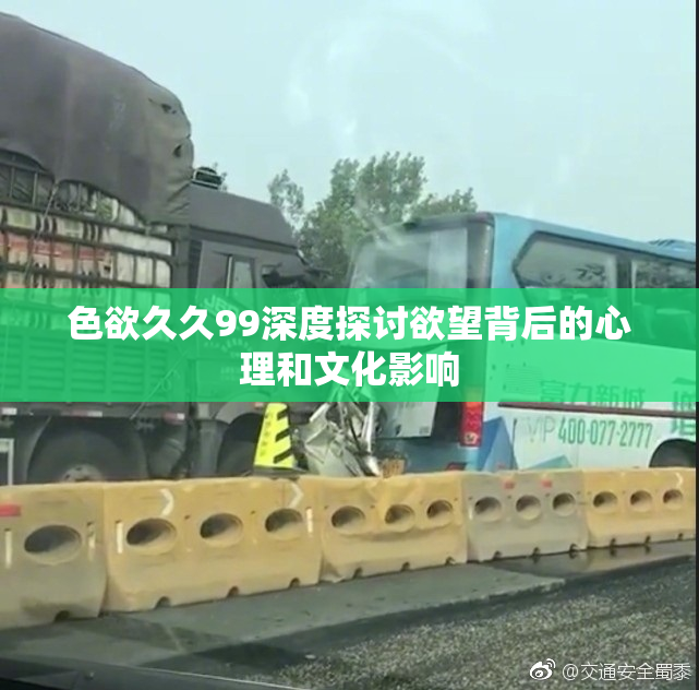 色欲久久99深度探讨欲望背后的心理和文化影响