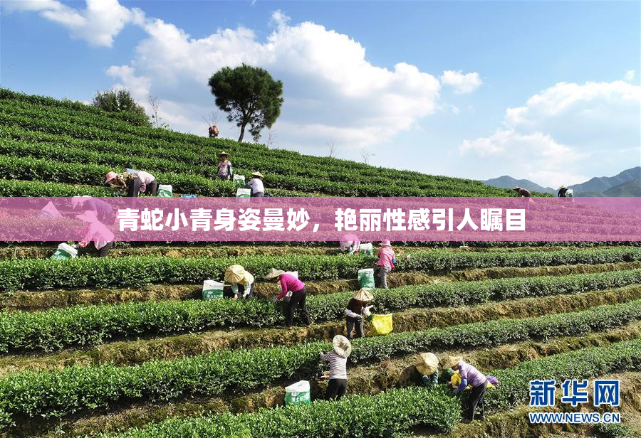 青蛇小青身姿曼妙，艳丽性感引人瞩目