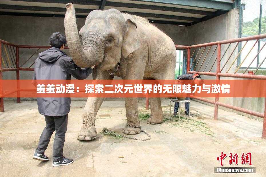 羞羞动漫：探索二次元世界的无限魅力与激情
