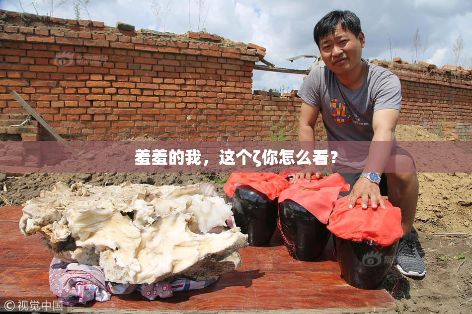 羞羞的我，这个ζ你怎么看？