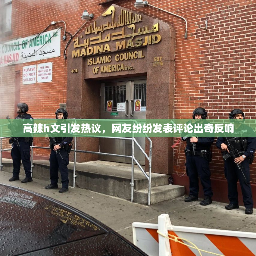 高辣h文引发热议，网友纷纷发表评论出奇反响