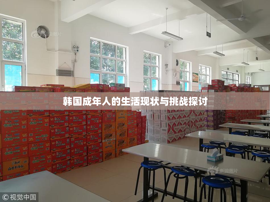 韩国成年人的生活现状与挑战探讨