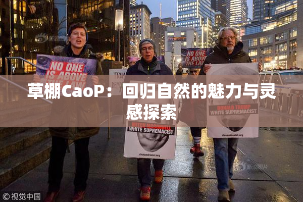 草棚CaoP：回归自然的魅力与灵感探索