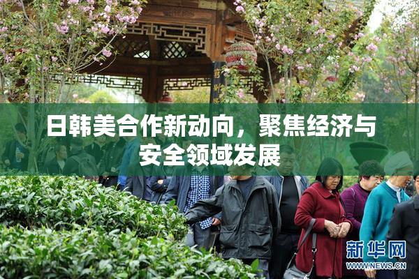 日韩美合作新动向，聚焦经济与安全领域发展