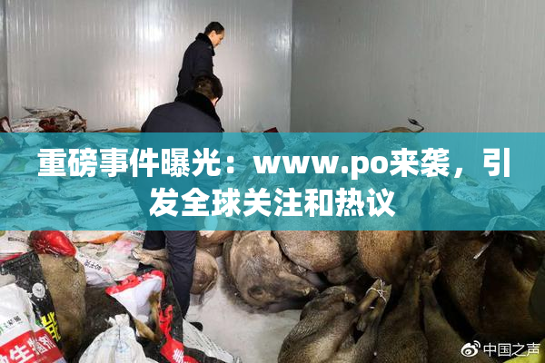 重磅事件曝光：www.ро来袭，引发全球关注和热议