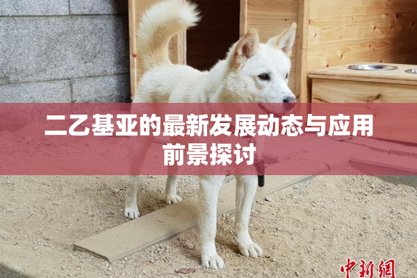 二乙基亚的最新发展动态与应用前景探讨