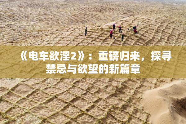 《电车欲淫2》：重磅归来，探寻禁忌与欲望的新篇章