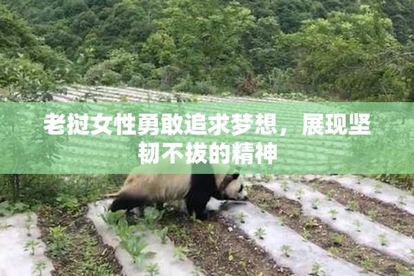 老挝女性勇敢追求梦想，展现坚韧不拔的精神
