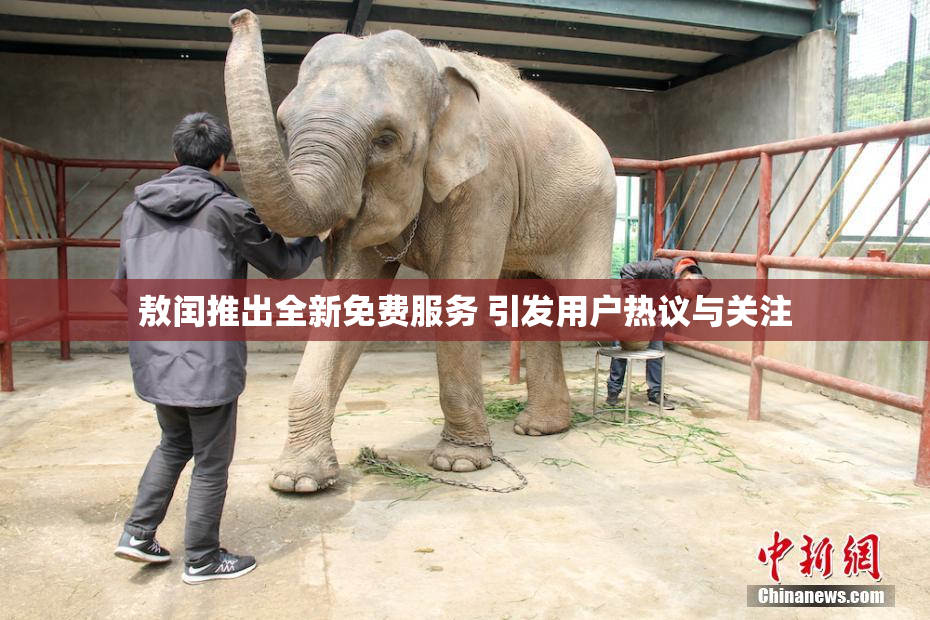 敖闰推出全新免费服务 引发用户热议与关注