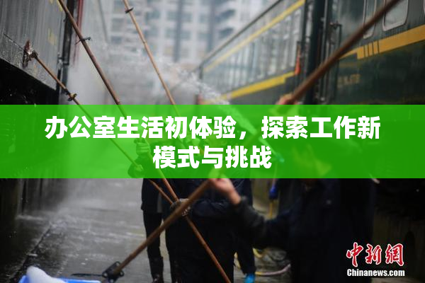 办公室生活初体验，探索工作新模式与挑战
