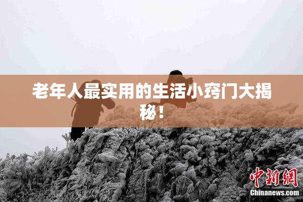 老年人最实用的生活小窍门大揭秘！