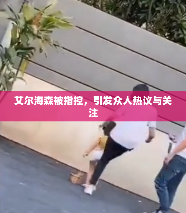 艾尔海森被指控，引发众人热议与关注
