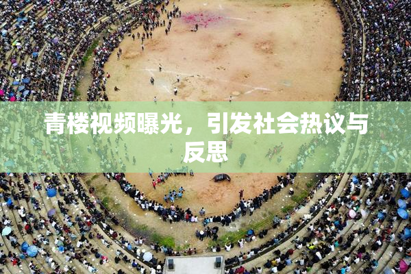 青楼视频曝光，引发社会热议与反思