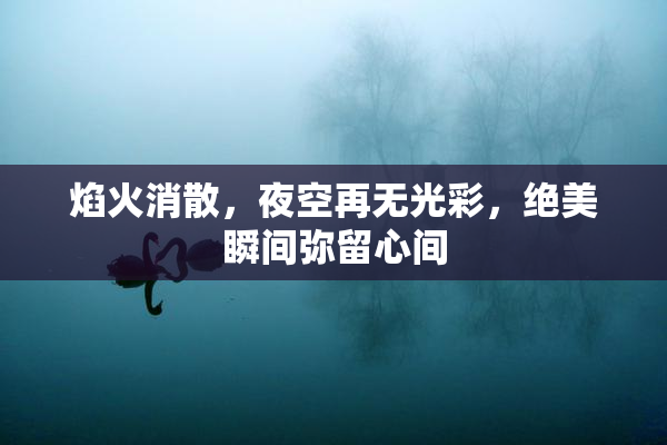 焰火消散，夜空再无光彩，绝美瞬间弥留心间