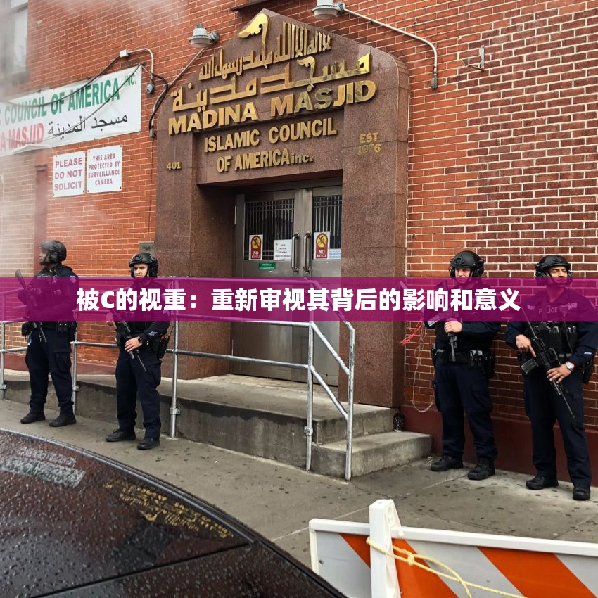 被C的视重：重新审视其背后的影响和意义