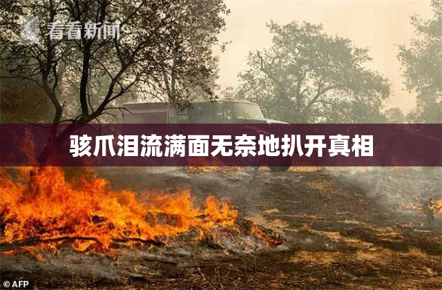骇爪泪流满面无奈地扒开真相