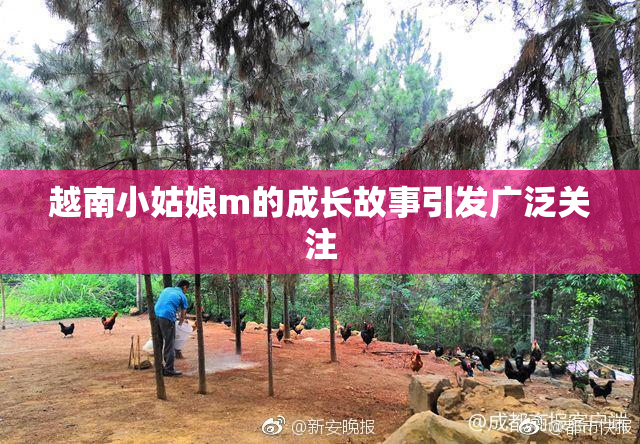 越南小姑娘m的成长故事引发广泛关注