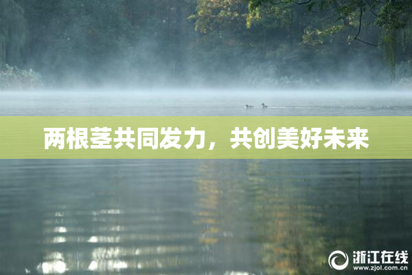 两根茎共同发力，共创美好未来