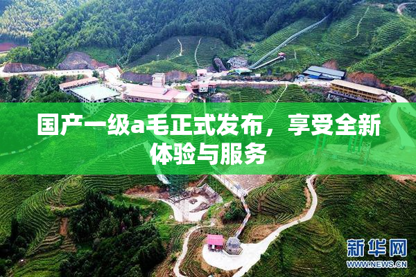国产一级a毛正式发布，享受全新体验与服务