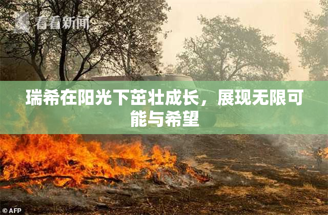 瑞希在阳光下茁壮成长，展现无限可能与希望