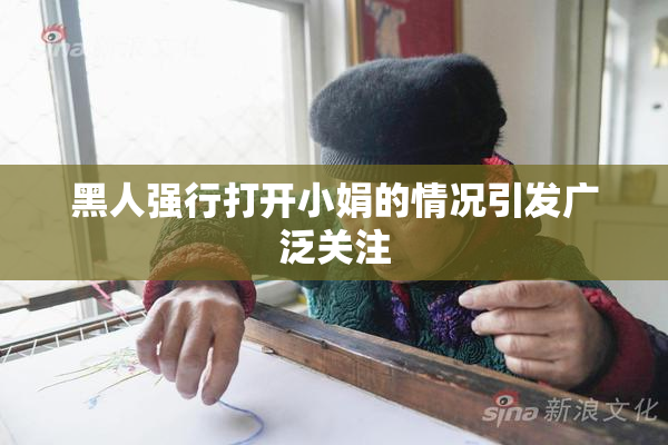 黑人强行打开小娟的情况引发广泛关注