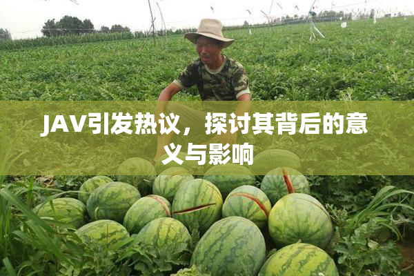 JAV引发热议，探讨其背后的意义与影响