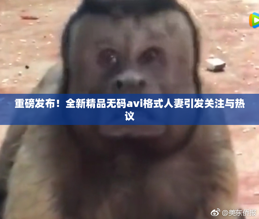 重磅发布！全新精品无码avi格式人妻引发关注与热议