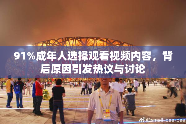 91%成年人选择观看视频内容，背后原因引发热议与讨论