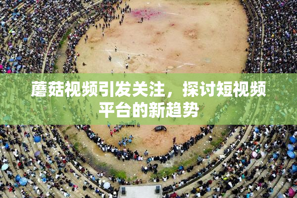蘑菇视频引发关注，探讨短视频平台的新趋势