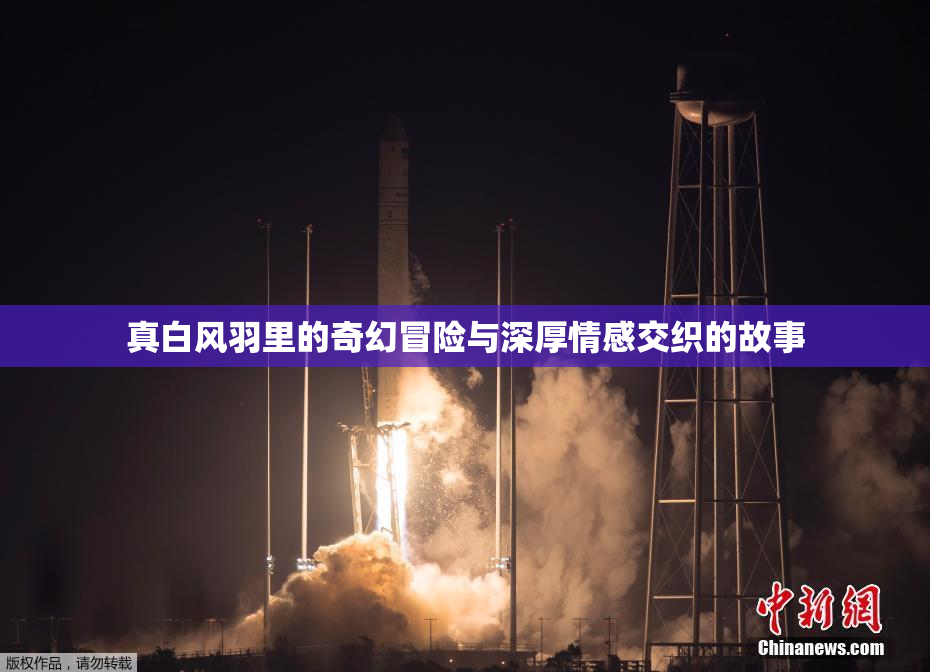 真白风羽里的奇幻冒险与深厚情感交织的故事