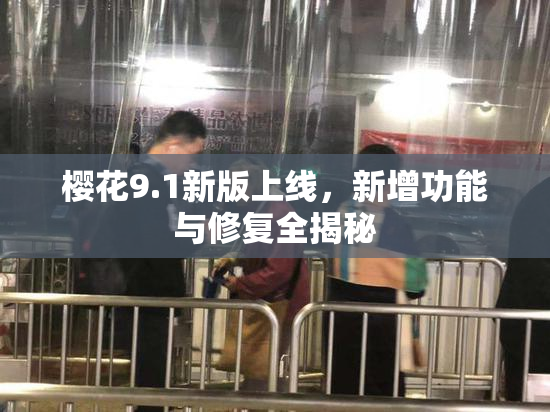 樱花9.1新版上线，新增功能与修复全揭秘