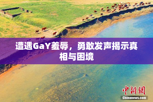遭遇GaY羞辱，勇敢发声揭示真相与困境