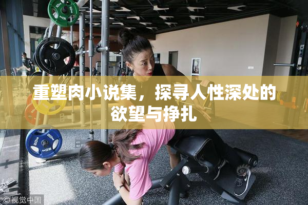 重塑肉小说集，探寻人性深处的欲望与挣扎