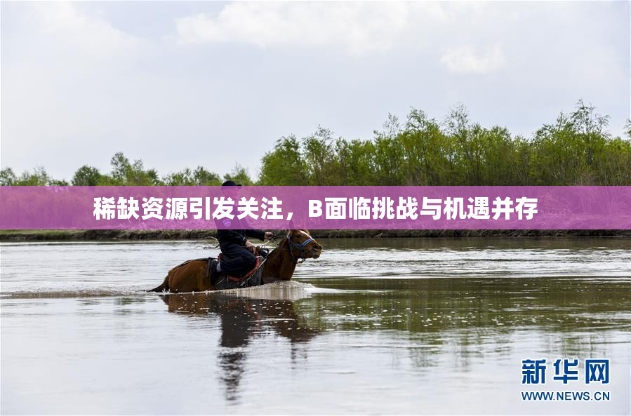 稀缺资源引发关注，B面临挑战与机遇并存