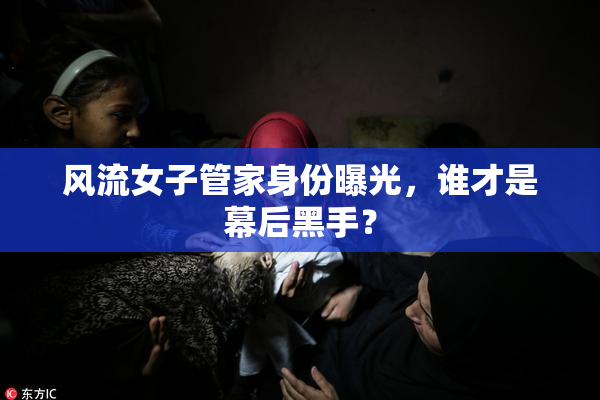 风流女子管家身份曝光，谁才是幕后黑手？